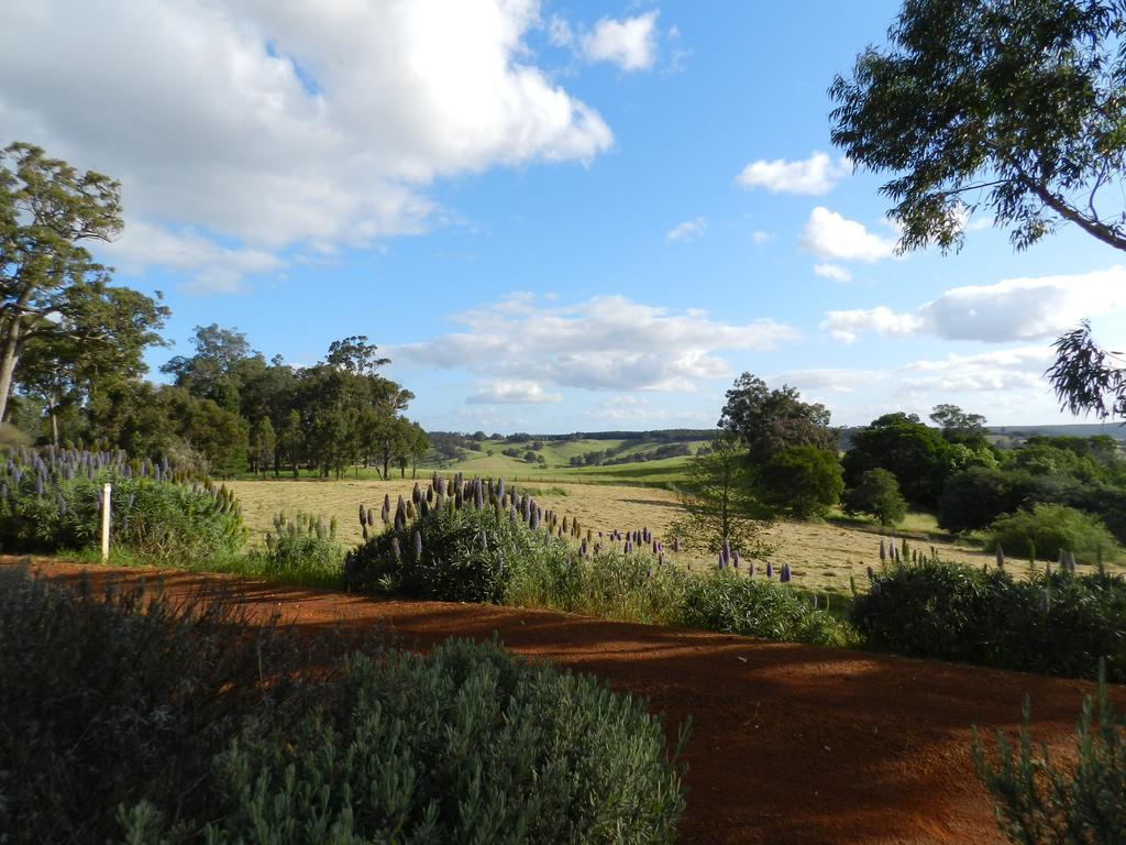 Shambhala Guesthouse Kangaroo Gully Exterior photo